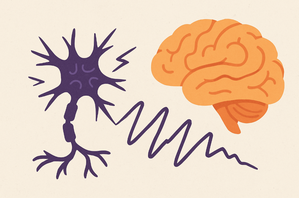 B6_nervy_pod_stresem_3